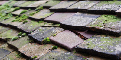 Highmoor Hill roof repair costs